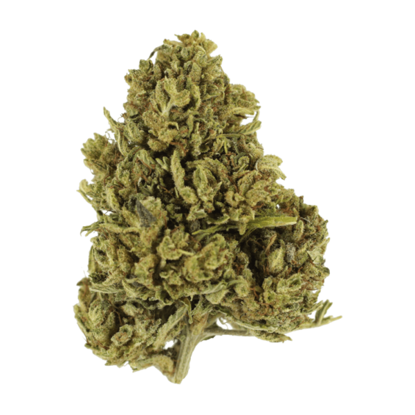 Cherry Wine (CBD) | Ganja Express Canada