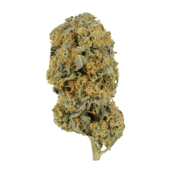 Sour Prince | Ganja Express Canada