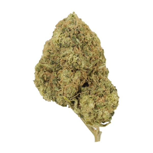 Mr Clean | Ganja Express Canada