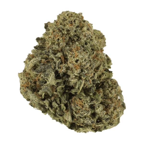 Blue Haze | Ganja Express Canada