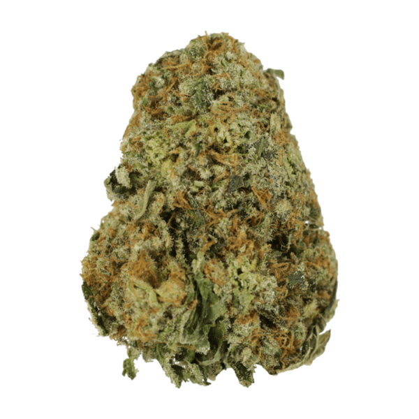 High School Sweetheart | Ganja Express Canada