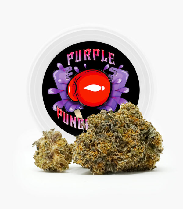 Westcoast Cali Tins – Premium Flower – Purple Punchsicle – 14g | Ganja Express Canada