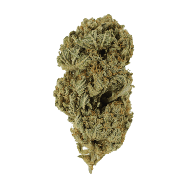  | Ganja Express Canada