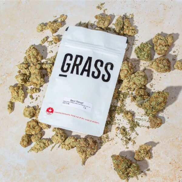 1/2OZ Sample Pack (AAA) – SAVE 20% | Ganja Express Canada