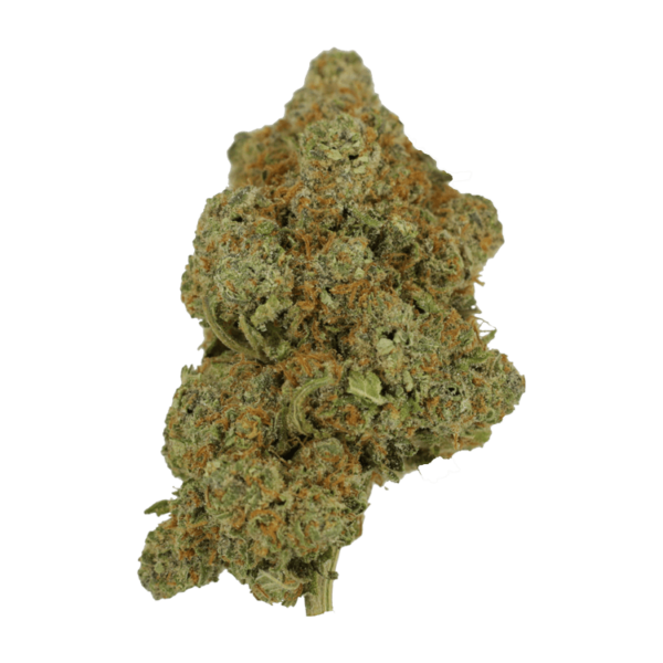 Tropicana Cookies | Ganja Express Canada