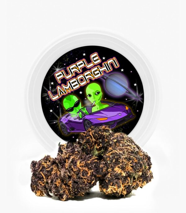 Westcoast Cali Tins – Premium Flower – Purple Lamborghini – 3.5g | Ganja Express Canada