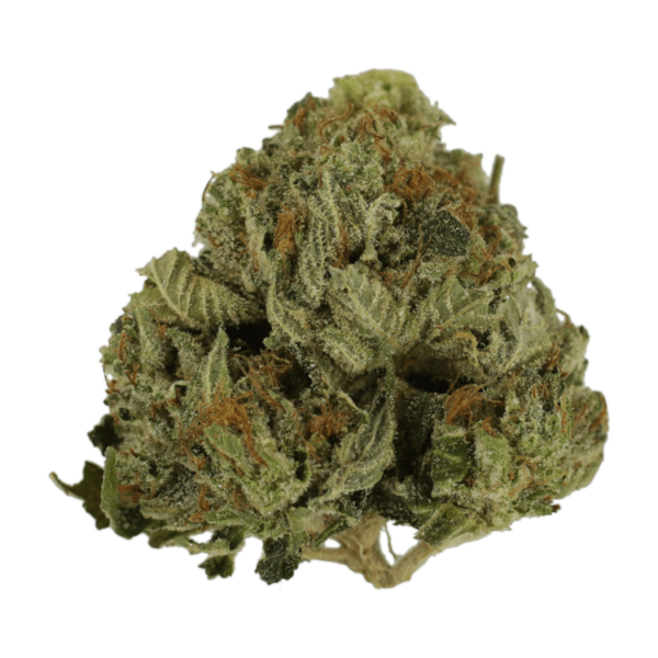 Pink Animal – 1 ounce | Ganja Express Canada