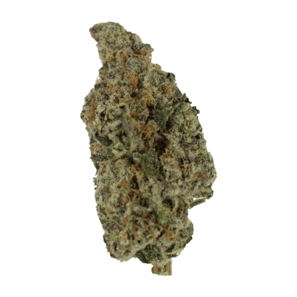 Biscotti Sundae | Ganja Express Canada