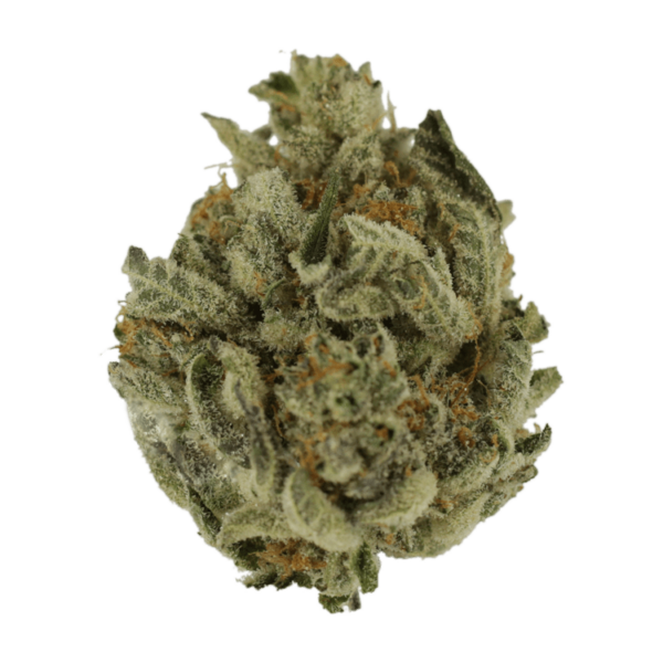 Biscotti Sundae | Ganja Express Canada