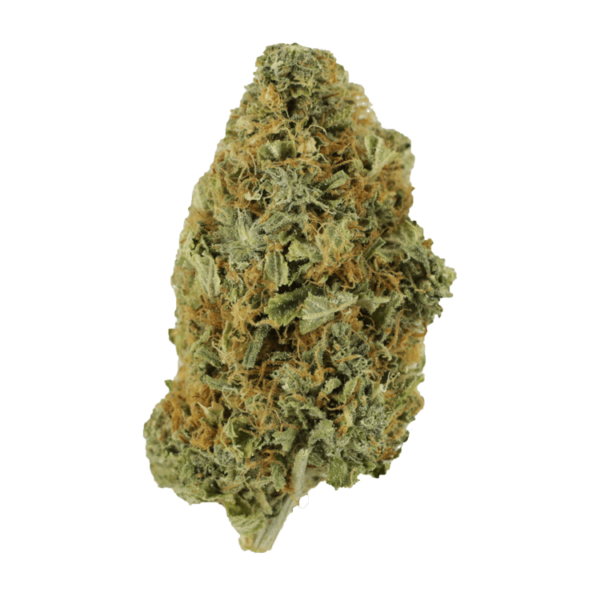 Purple Tuna – 1 ounce | Ganja Express Canada