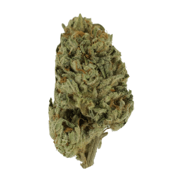 Biscotti Sundae | Ganja Express Canada
