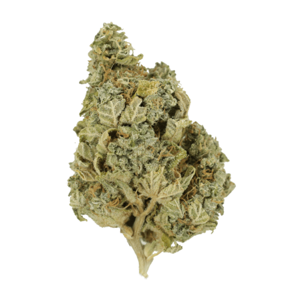 Khalifa Kush | Ganja Express Canada