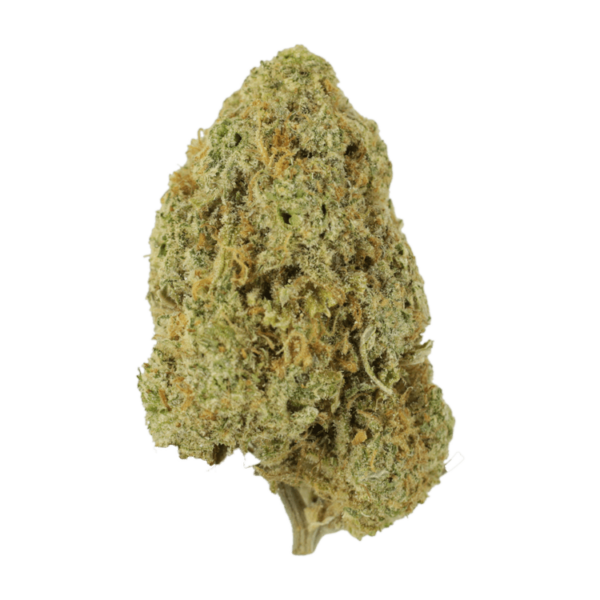 Sugar Pine | Ganja Express Canada