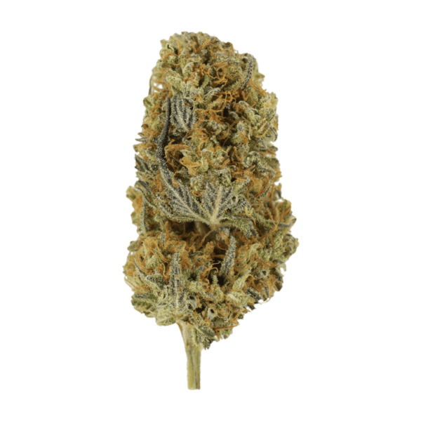 Headband | Ganja Express Canada