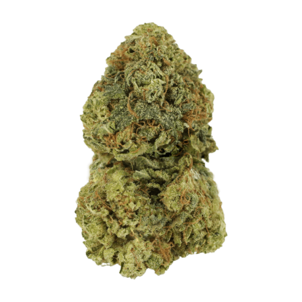 Critical Mass | Ganja Express Canada