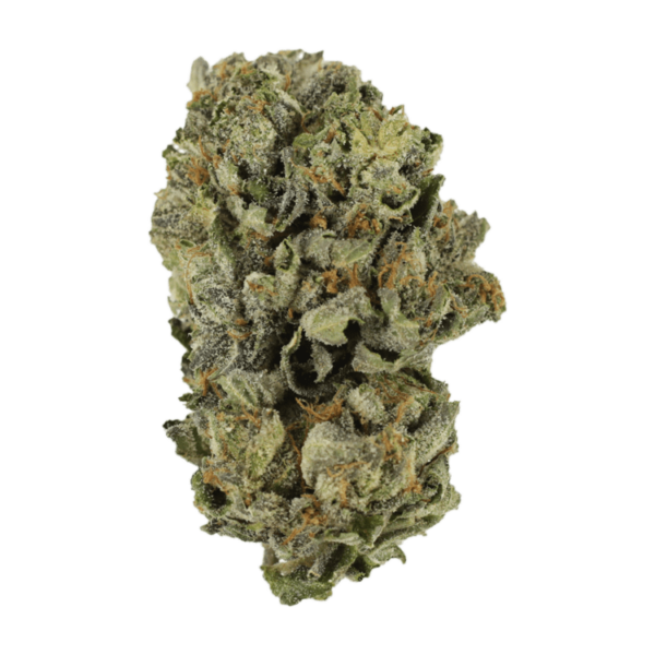 Cerebro Haze | Ganja Express Canada