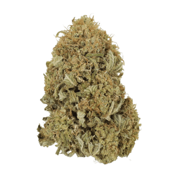 G13 | Ganja Express Canada