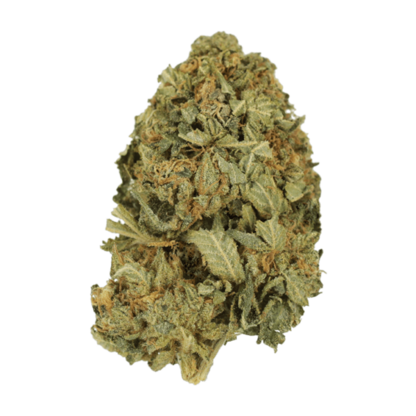 G13 | Ganja Express Canada