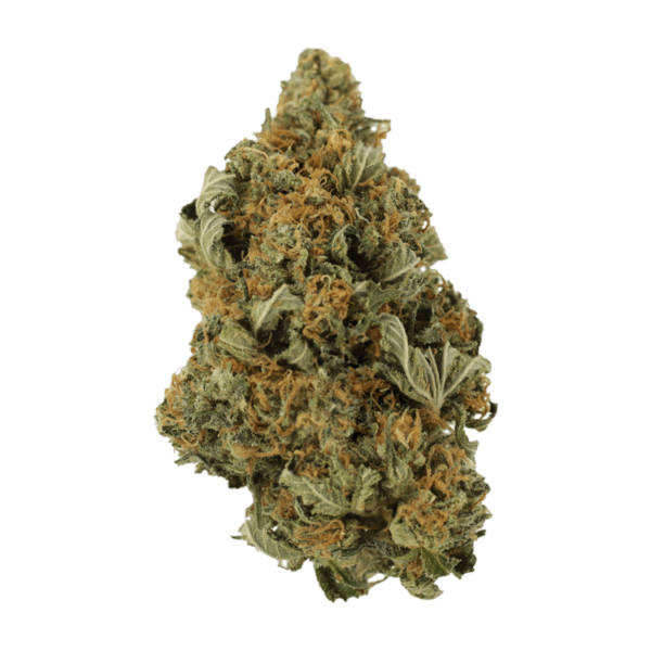 God’s Bubba | Ganja Express Canada