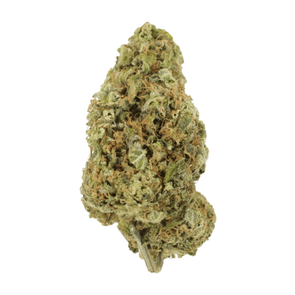 Sour Jack | Ganja Express Canada