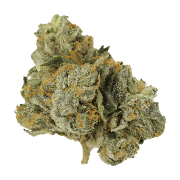 Mango Cream | Ganja Express Canada