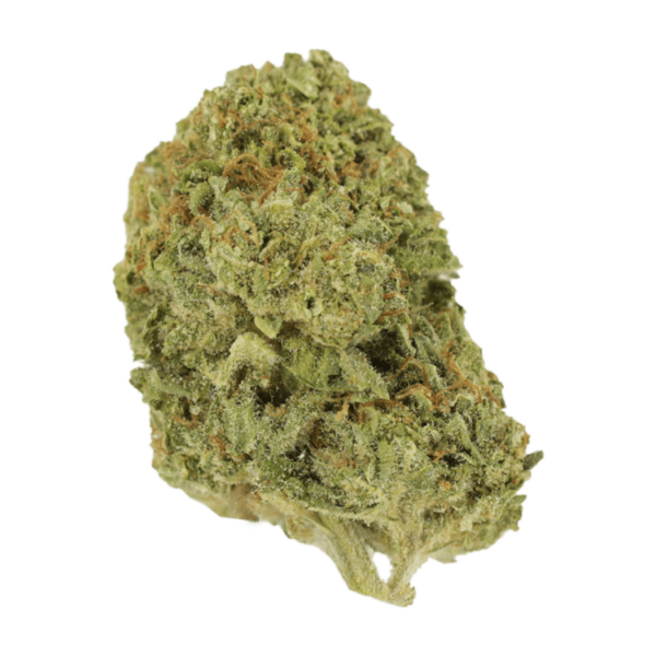Mango Cream | Ganja Express Canada