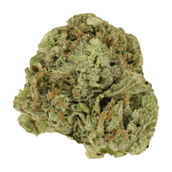 Mango Cream | Ganja Express Canada