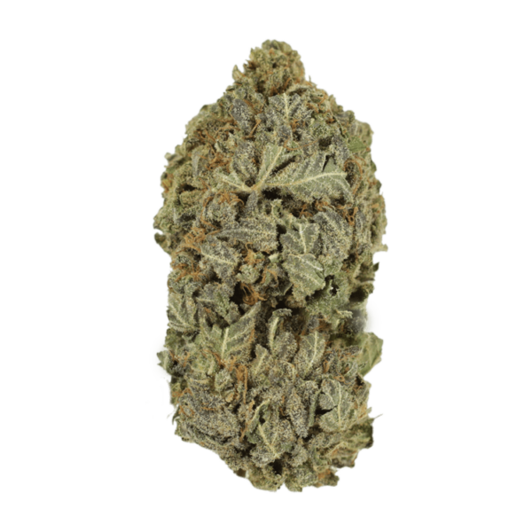 Purple Dream | Ganja Express Canada