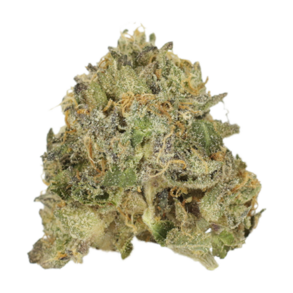 Vanilla Kush | Ganja Express Canada