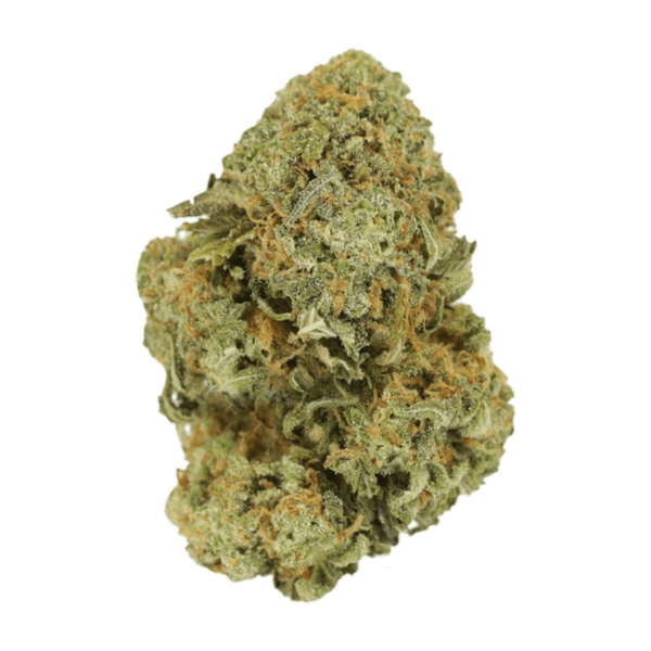 Watermelon Gelato | Ganja Express Canada