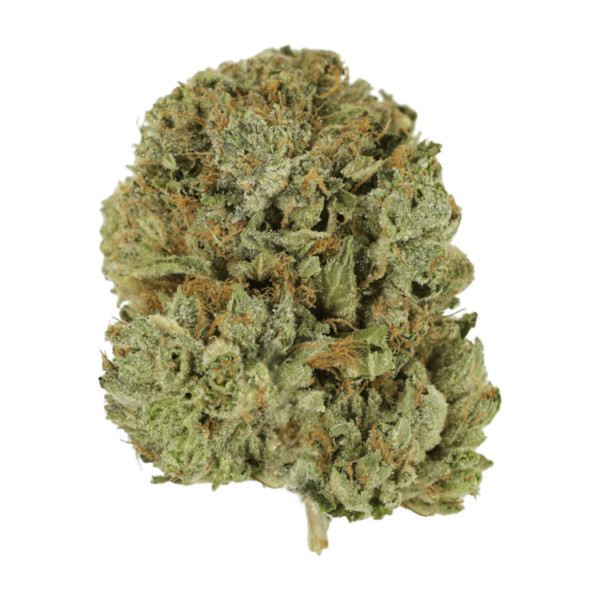 Pink Taco | Ganja Express Canada