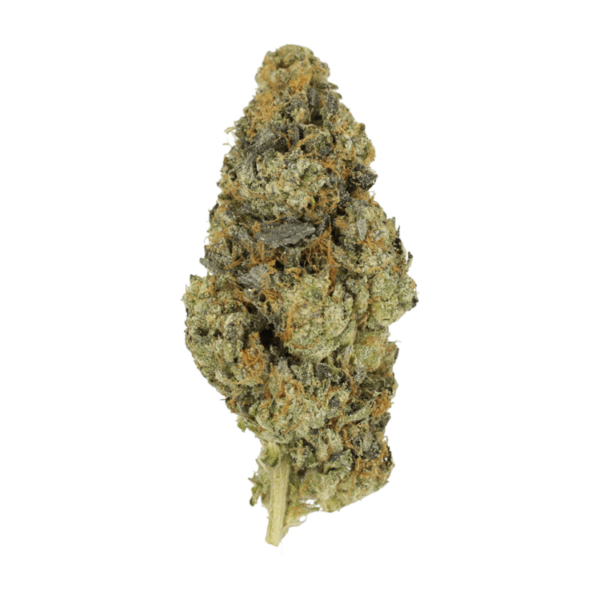 DoSi Face | Ganja Express Canada