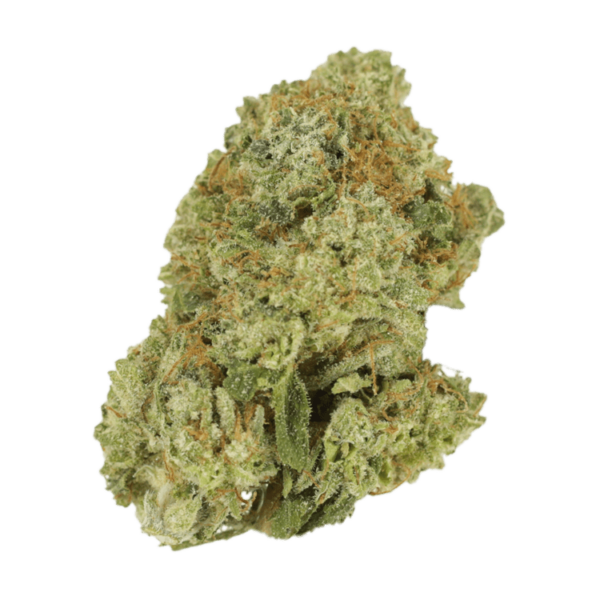 Malawi Gold | Ganja Express Canada