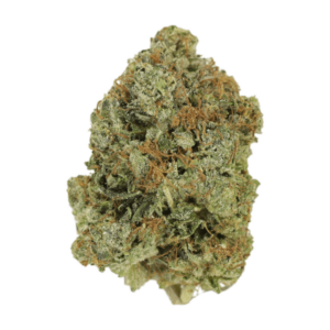 Jack Herer (popcorn) | Ganja Express Canada