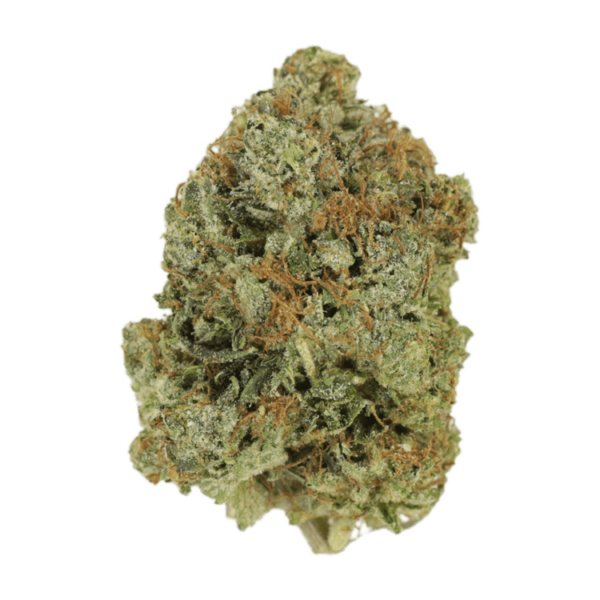 Jack Herer (popcorn) | Ganja Express Canada