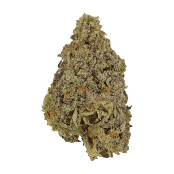 Frosty Gelato | Ganja Express Canada