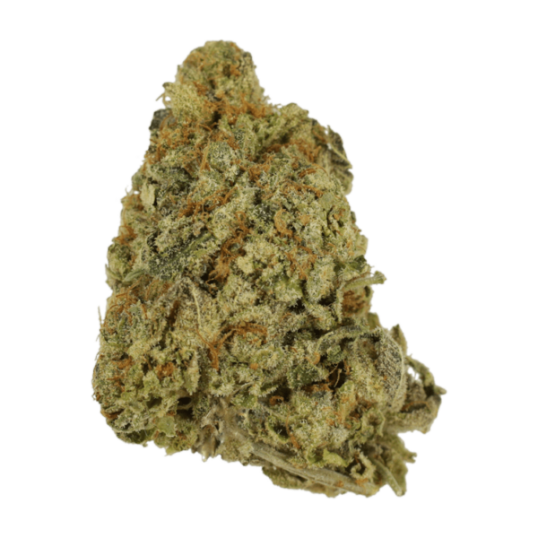 G Whiz | Ganja Express Canada
