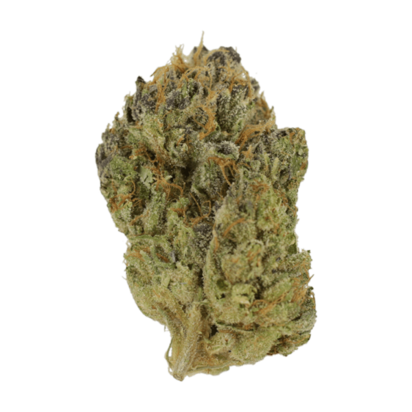 Blueberry Muffin | Ganja Express Canada