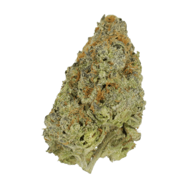 Lilac Diesel | Ganja Express Canada