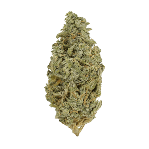 Orange Cookies | Ganja Express Canada