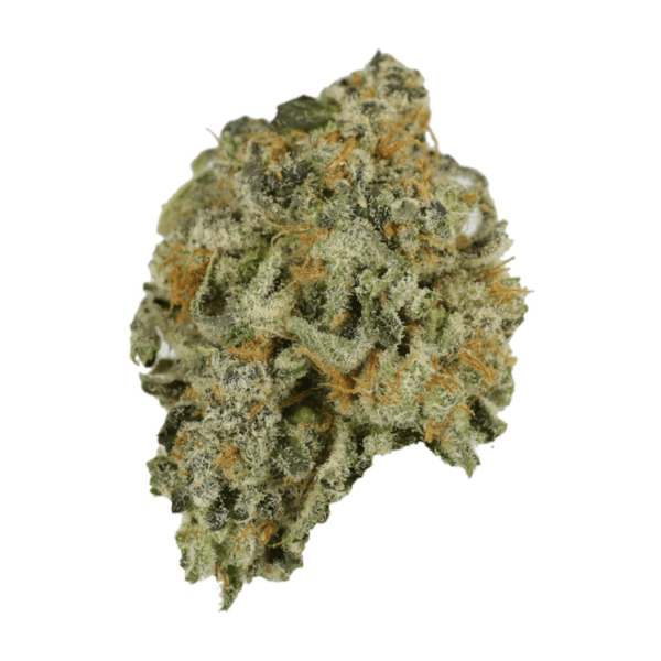 Alien Rock Candy | Ganja Express Canada