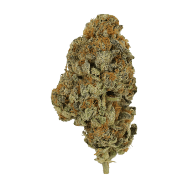 Key Lime Pie | Ganja Express Canada