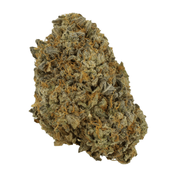 Sherb Quake | Ganja Express Canada
