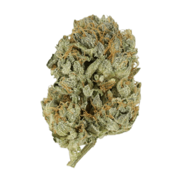 Kashmir Kush | Ganja Express Canada