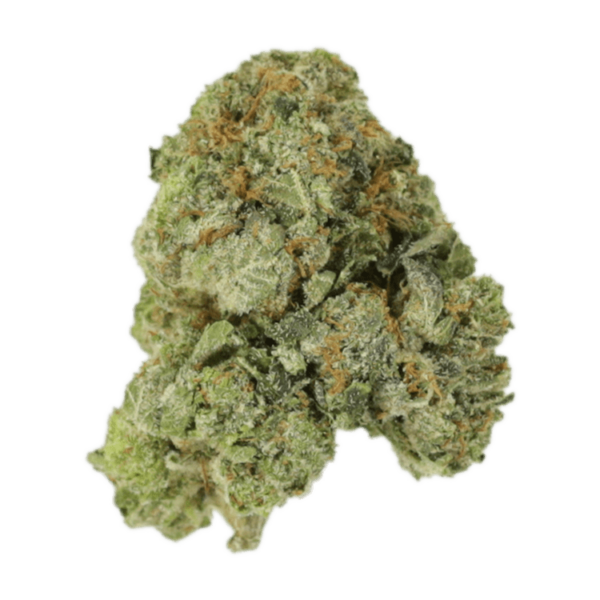 White Russian | Ganja Express Canada