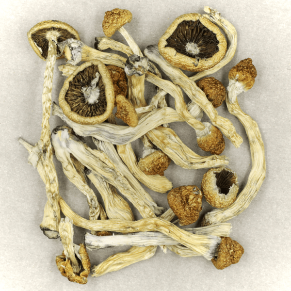 Texas Yellow Cap | Ganja Express Canada