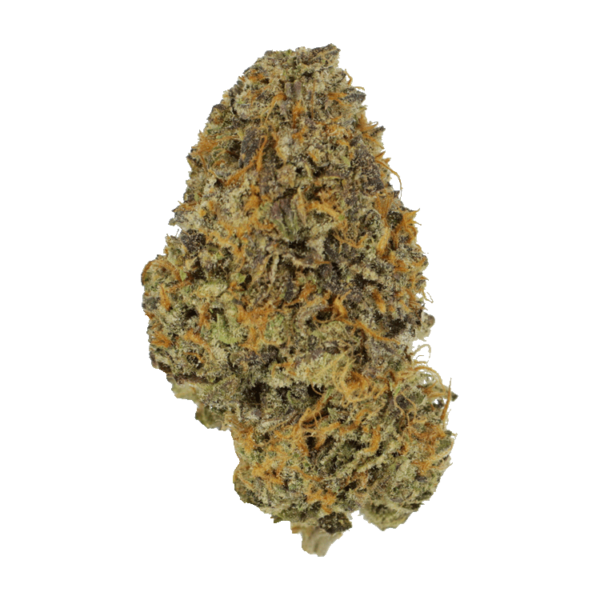 Blackberry Nightmare | Ganja Express Canada