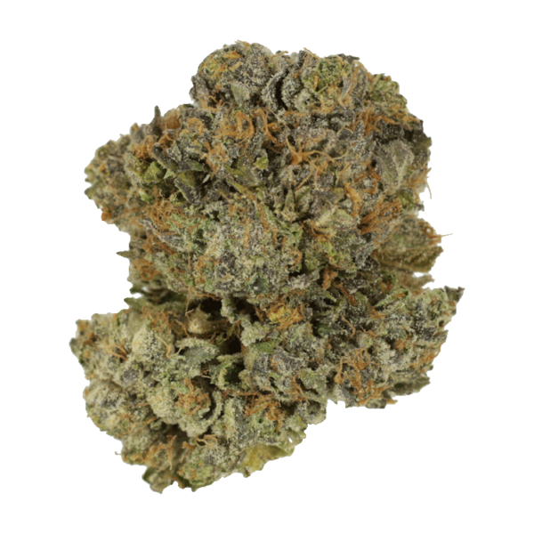 Chocolate Mint | Ganja Express Canada