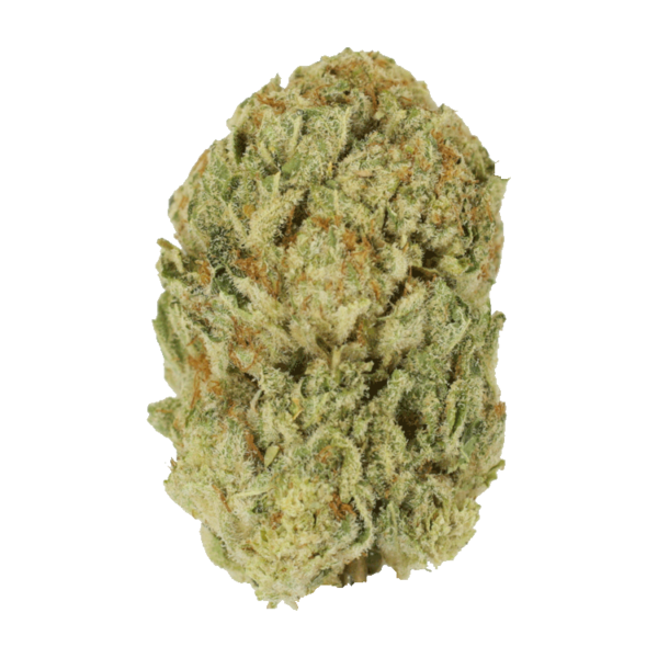 Trap Star | Ganja Express Canada