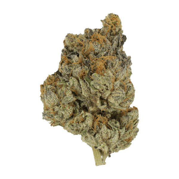 Divorce Cake | Ganja Express Canada